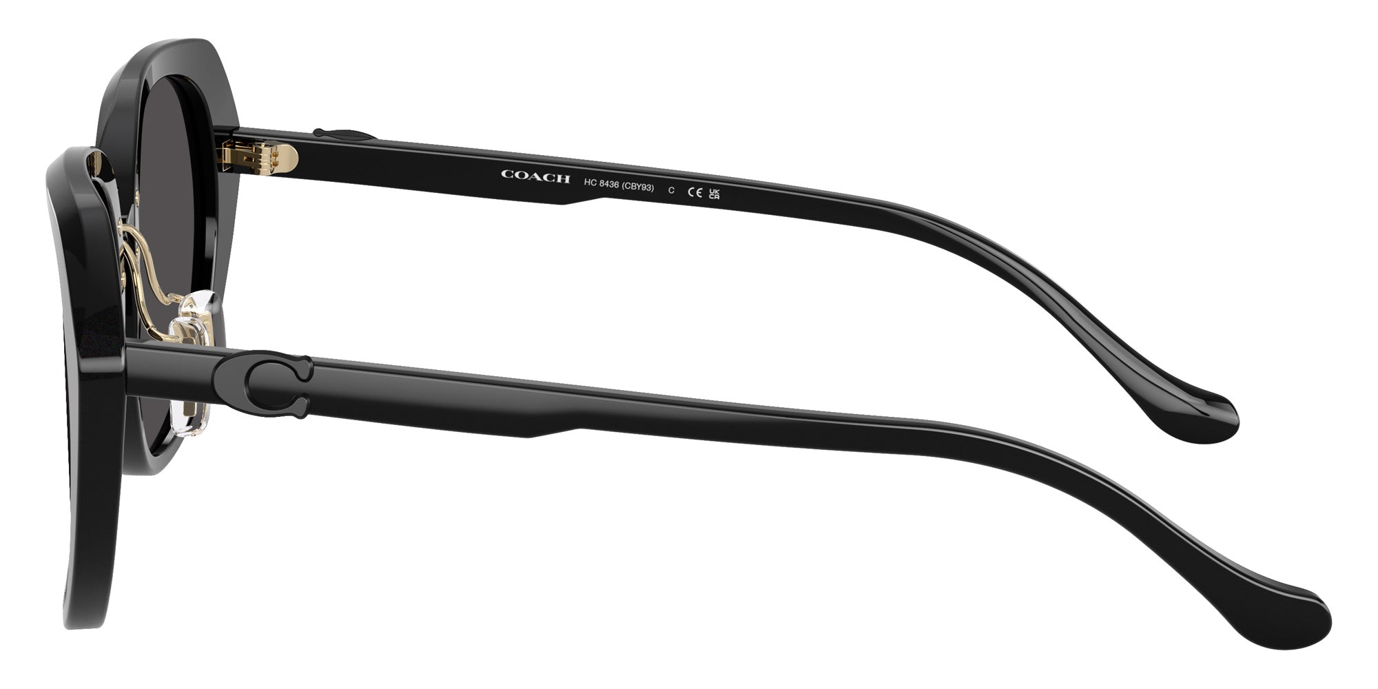 Coach HC8436 CBY93 Irregular Sunglasses | EyeOns.com