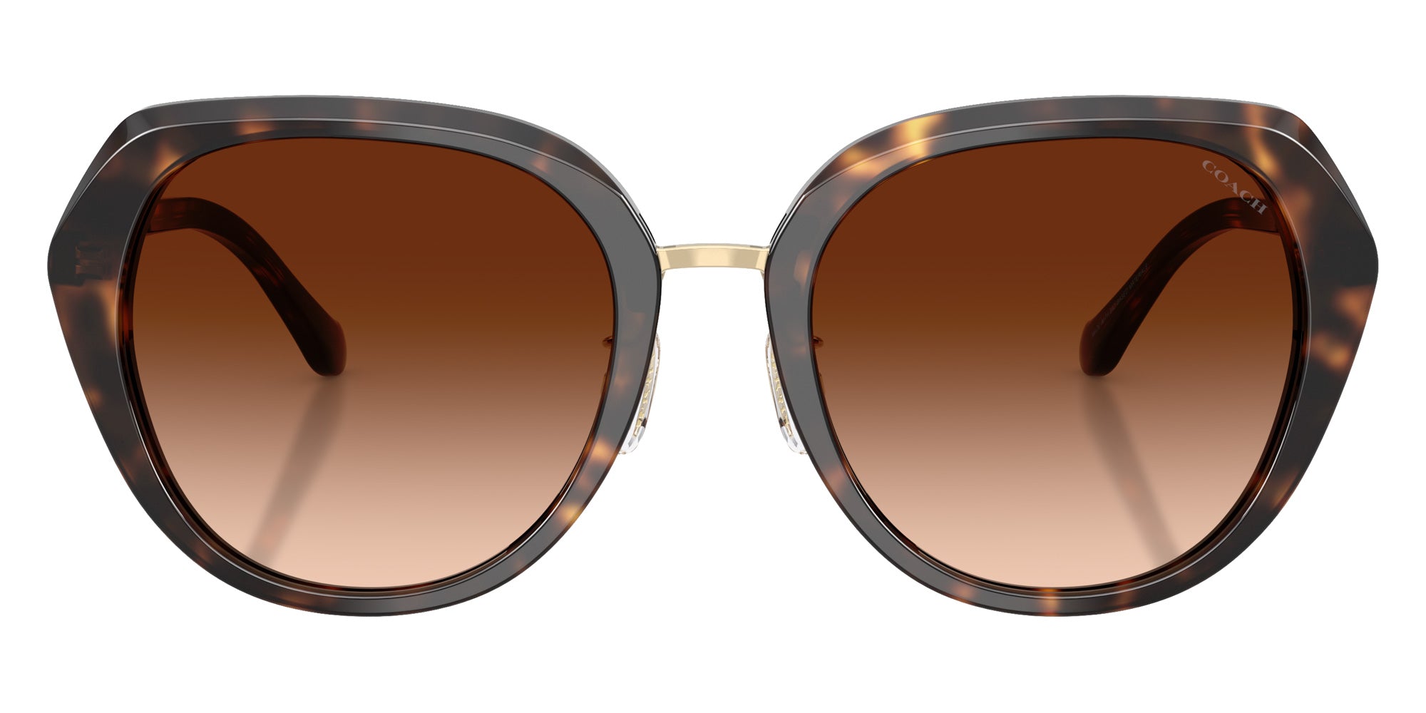 Coach HC8436 CBY93 512074 55 - Dark Tortoise / Brown Gradient #id:hc8436512074_s:102100