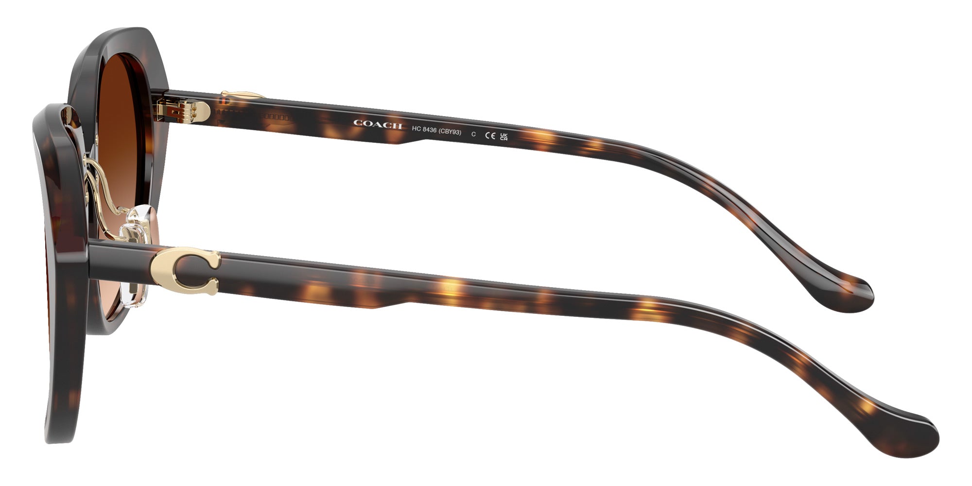 Coach HC8436 CBY93 Irregular Sunglasses | EyeOns.com