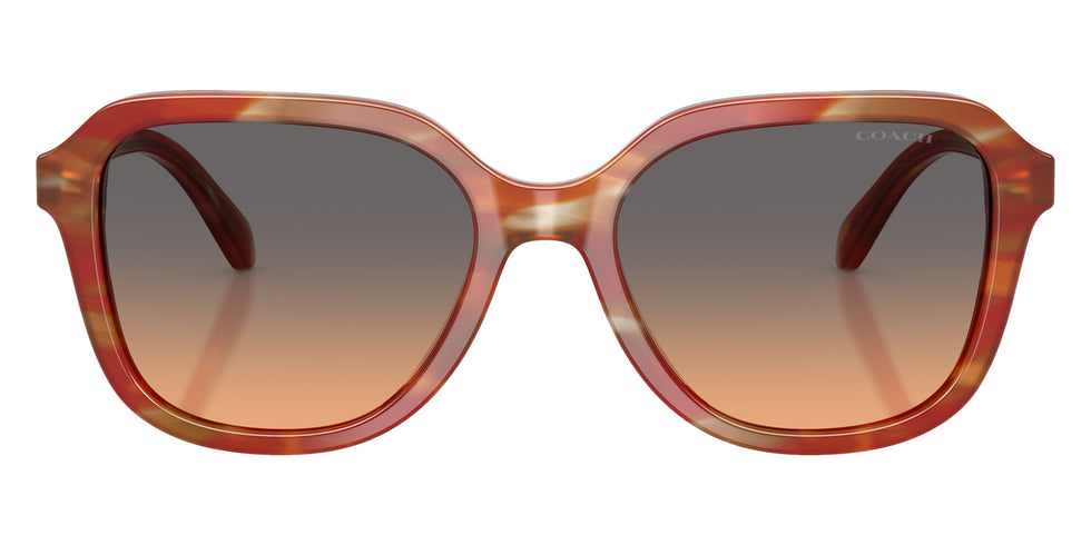 Coach HC8437U CBY87 590018 53 - Striated Chestnut / Smokey Peach Gradient #id:hc8437u590018_s:106100