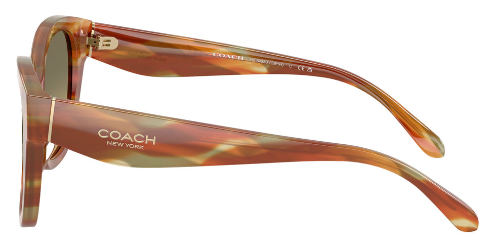 Coach HC8438U CBY94 5898L0 56 - Striated Bark/Moss / Green Gray Gradient #id:hc8438u5898l0_s:102110
