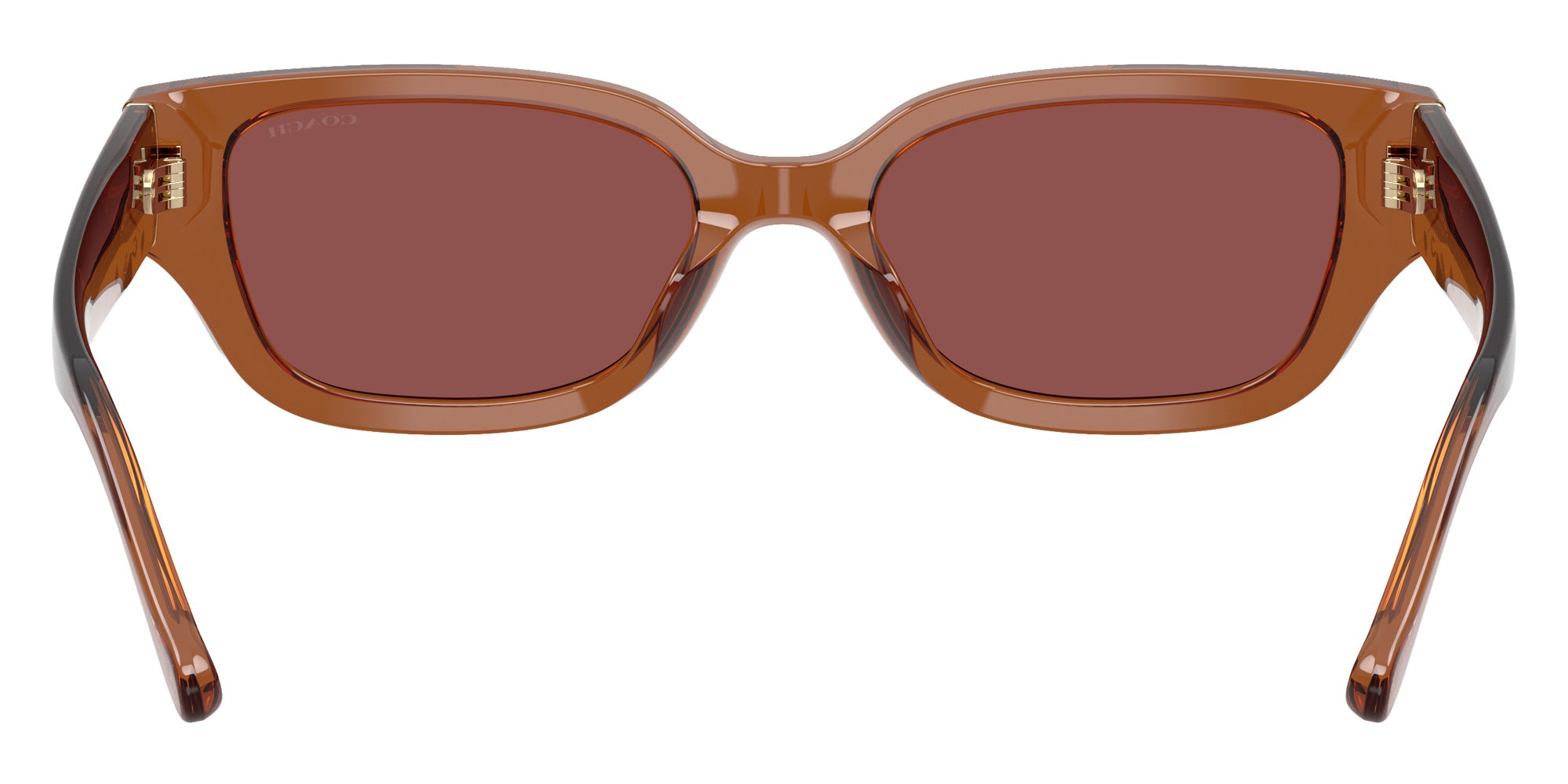Coach HC8439U CBZ52 581175 53 - Transparent Brown / Wine Solid #id:hc8439u581175_s:102115
