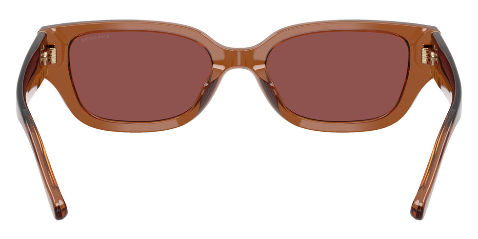 Coach HC8439U CBZ52 581175 53 - Transparent Brown / Wine Solid #id:hc8439u581175_s:102115