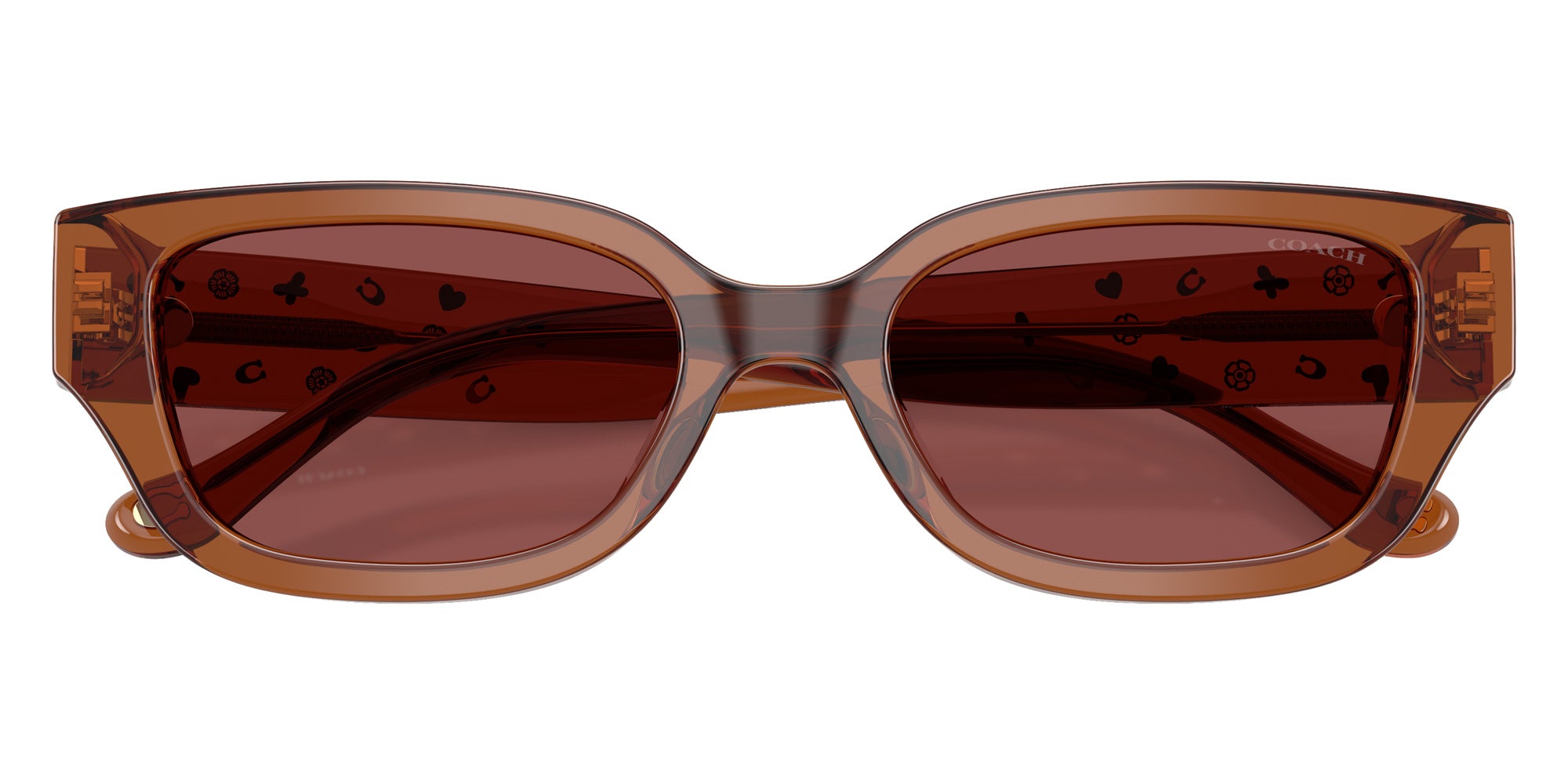 Coach HC8439U CBZ52 581175 53 - Transparent Brown / Wine Solid #id:hc8439u581175_s:102120