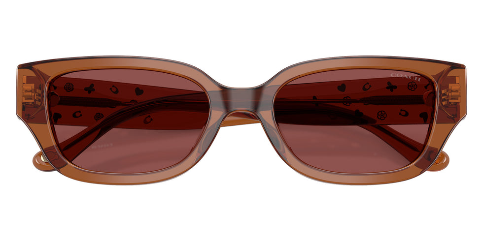 Coach HC8439U CBZ52 581175 53 - Transparent Brown / Wine Solid #id:hc8439u581175_s:102120