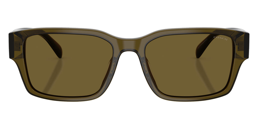 Coach HC8441U CBY96 591073 55 - Transparent Olive / Green Solid #id:hc8441u591073_s:104100