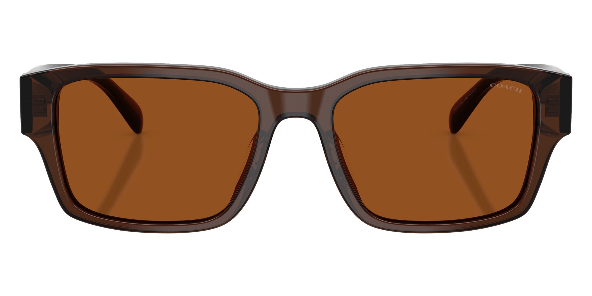 Coach HC8441U CBY96 591173 55 - Transparent Brown / Brown Solid #id:hc8441u591173_s:106100