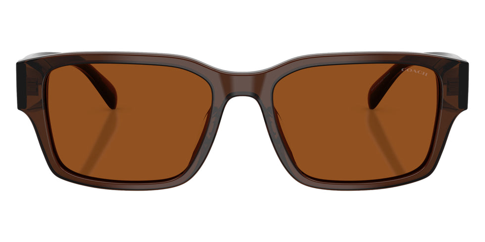 Coach HC8441U CBY96 591173 55 - Transparent Brown / Brown Solid #id:hc8441u591173_s:106100