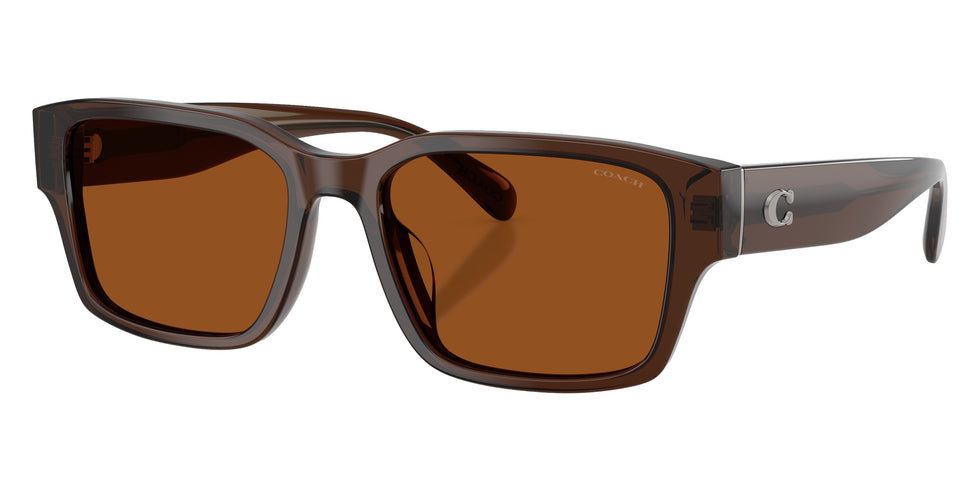 Coach HC8441U CBY96 591173 55 - Transparent Brown / Brown Solid #id:hc8441u591173_s:106105