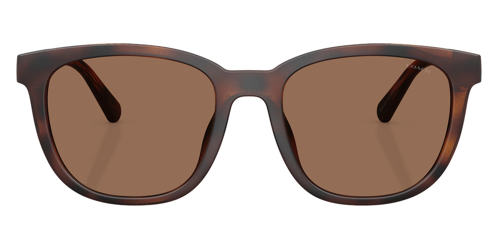 Coach HC8442U CCA00 512073 54 - Matte Dark Tortoise / Brown Solid #id:hc8442u512073_s:106100