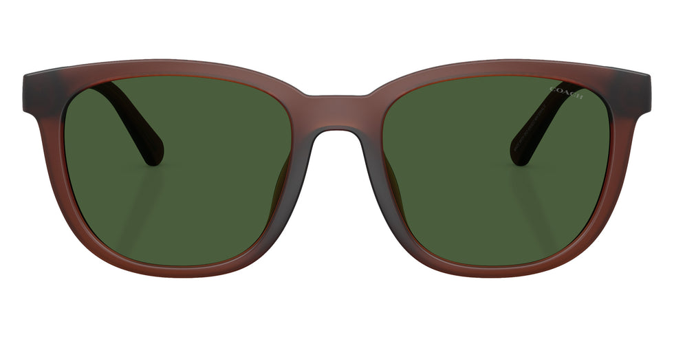 Coach HC8442U CCA00 591171 54 - Matte Transparent Brown / Green Solid #id:hc8442u591171_s:108100