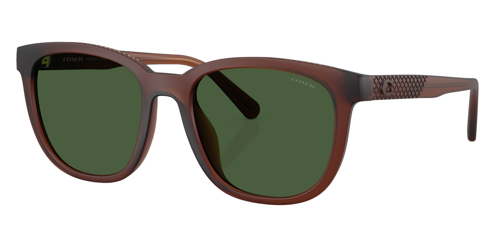 Coach HC8442U CCA00 591171 54 - Matte Transparent Brown / Green Solid #id:hc8442u591171_s:108105