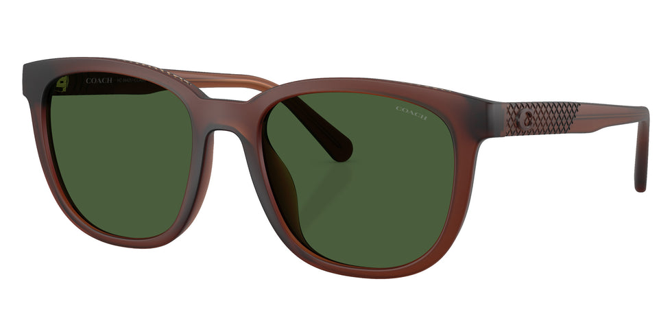 Coach HC8442U CCA00 591171 54 - Matte Transparent Brown / Green Solid #id:hc8442u591171_s:108105