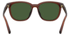 Coach HC8442U CCA00 591171 54 - Matte Transparent Brown / Green Solid #id:hc8442u591171_s:108115