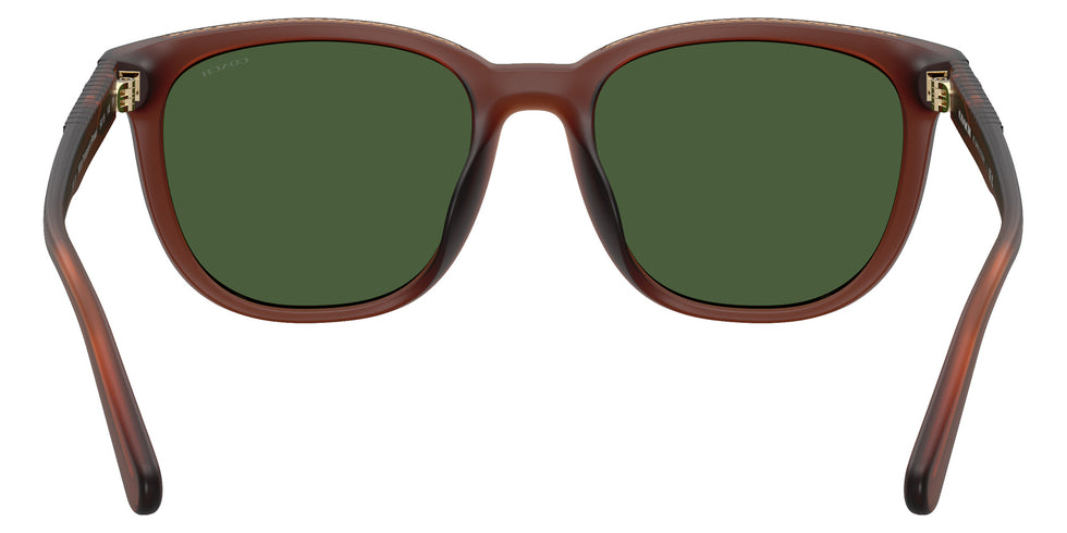Coach HC8442U CCA00 591171 54 - Matte Transparent Brown / Green Solid #id:hc8442u591171_s:108115