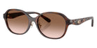Coach HC8445D CBY85 512013 56 - Dark Tortoise / Brown Gradient #id:hc8445d512013_s:102105