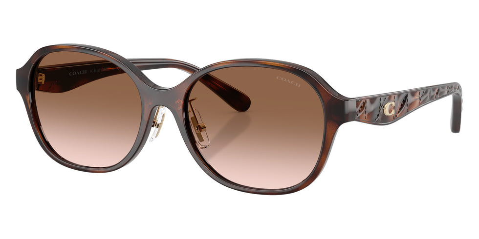 Coach HC8445D CBY85 512013 56 - Dark Tortoise / Brown Gradient #id:hc8445d512013_s:102105