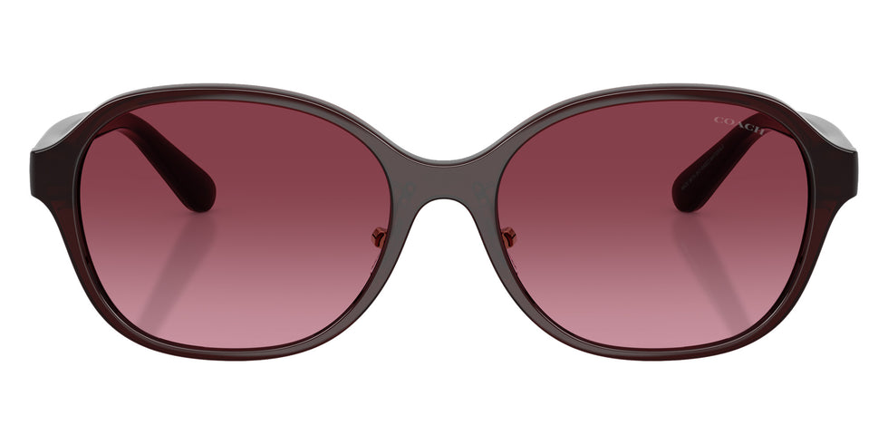 Coach HC8445D CBY85 59158H 56 - Milky Merlot / Merlot Gradient #id:hc8445d59158h_s:106100