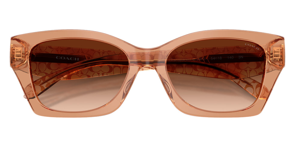 Coach HC8451U CDP49 593774 54 - Transparent Brown #id:hc8451u593774_s:106100