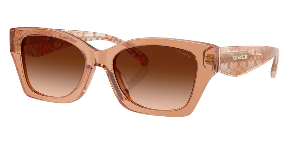 Coach HC8451U CDP49 593774 54 - Transparent Brown #id:hc8451u593774_s:106105