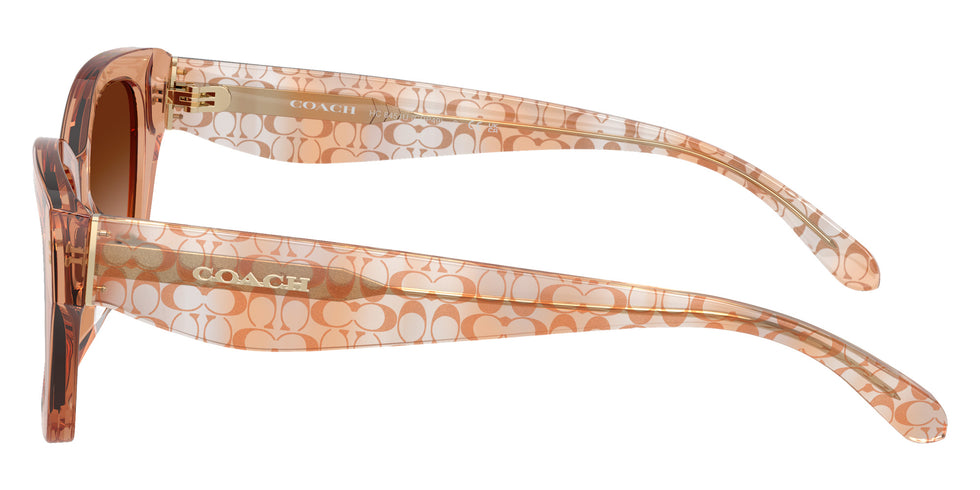 Coach HC8451U CDP49 593774 54 - Transparent Brown #id:hc8451u593774_s:106110