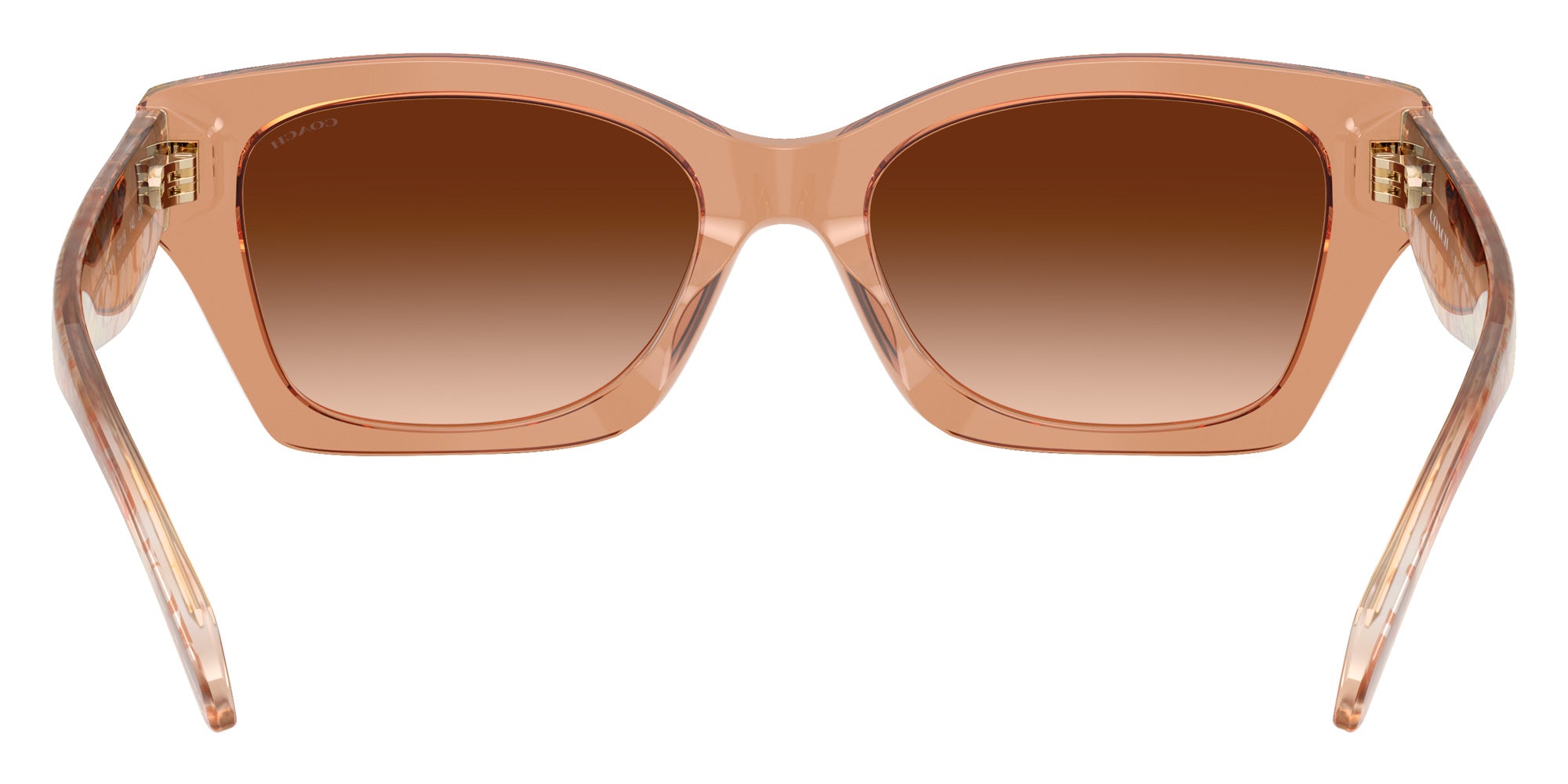 Coach HC8451U CDP49 593774 54 - Transparent Brown #id:hc8451u593774_s:106115