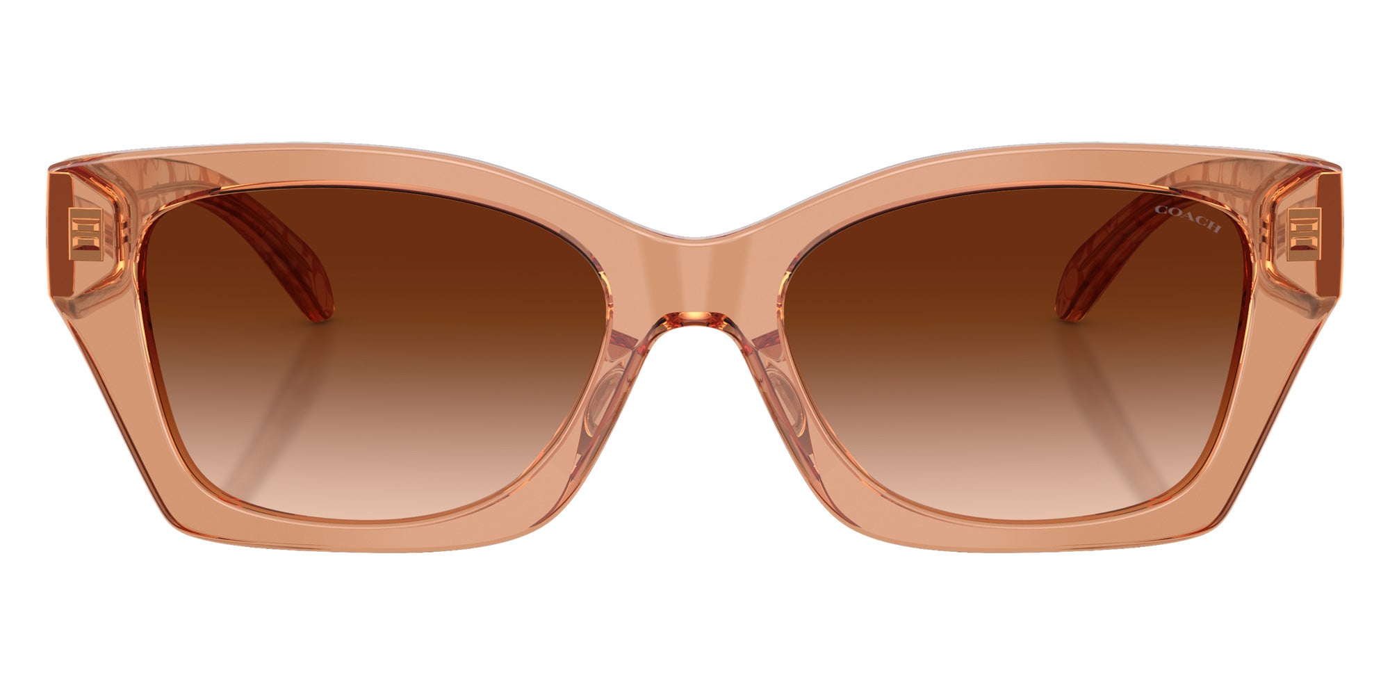 Coach HC8451U CDP49 593774 54 - Transparent Brown #id:hc8451u593774_s:106120