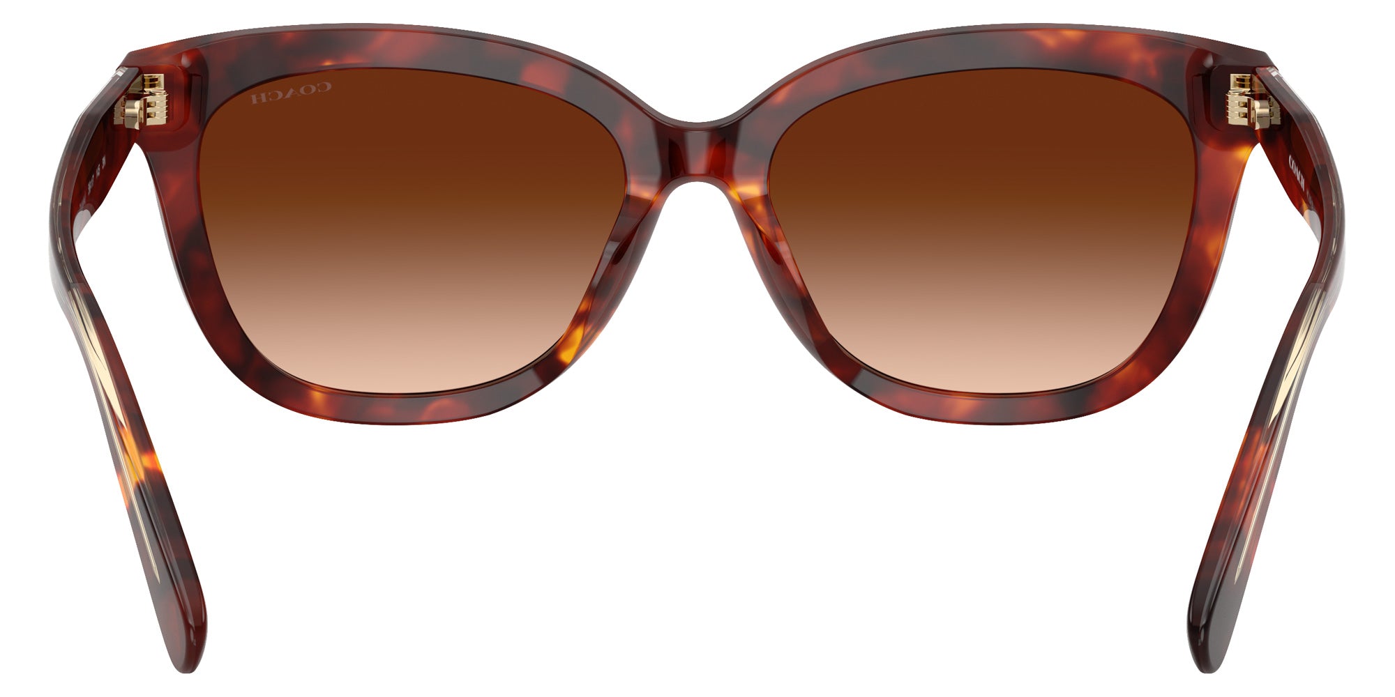 Coach HC8453U CDP53 593874 56 - Walnut Tortoise #id:hc8453u593874_s:102115