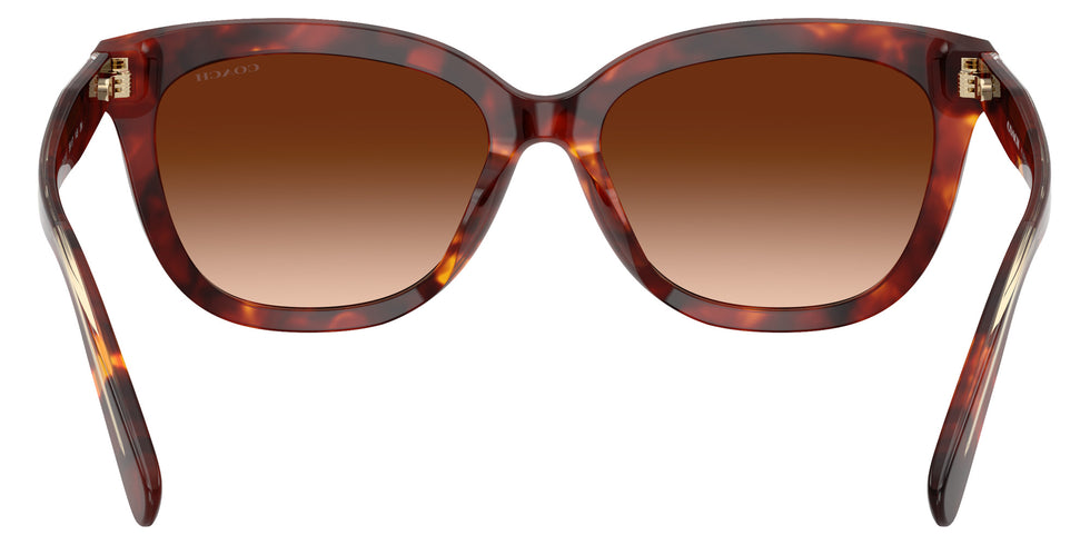 Coach HC8453U CDP53 593874 56 - Walnut Tortoise #id:hc8453u593874_s:102115