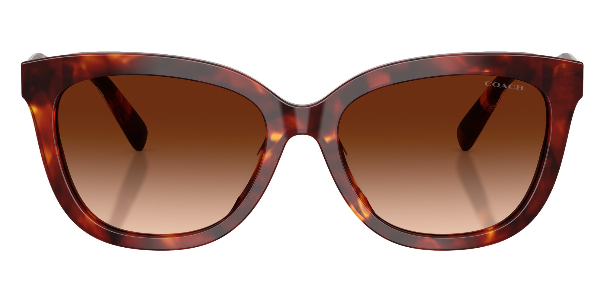 Coach HC8453U CDP53 593874 56 - Walnut Tortoise #id:hc8453u593874_s:102120