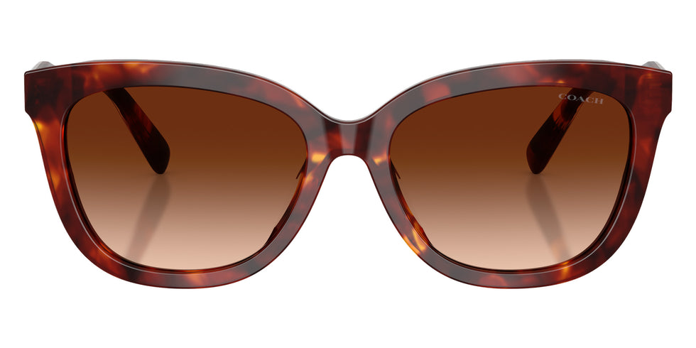 Coach HC8453U CDP53 593874 56 - Walnut Tortoise #id:hc8453u593874_s:102120