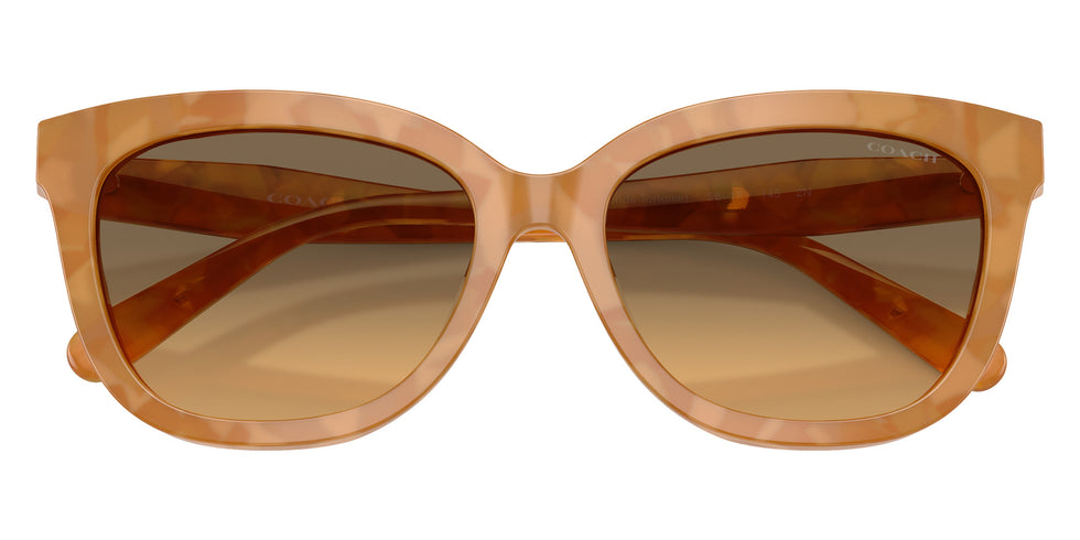 Coach HC8453U CDP53 593911 56 - Blonde Tortoise #id:hc8453u593911_s:104100