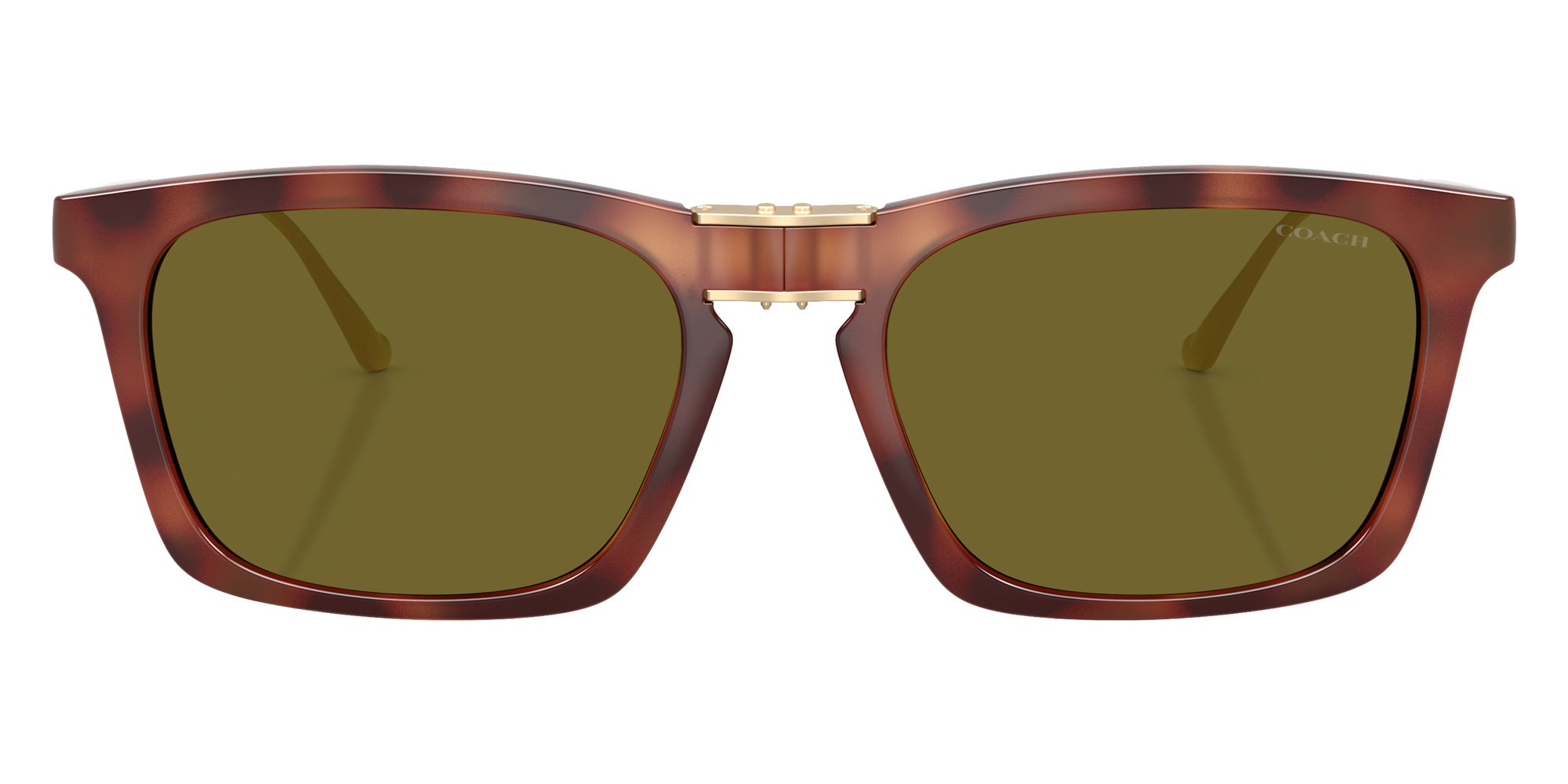 Coach HC8455 CDP54 5774/2 56 - Caramel Tortoise #id:hc845557742_s:106120