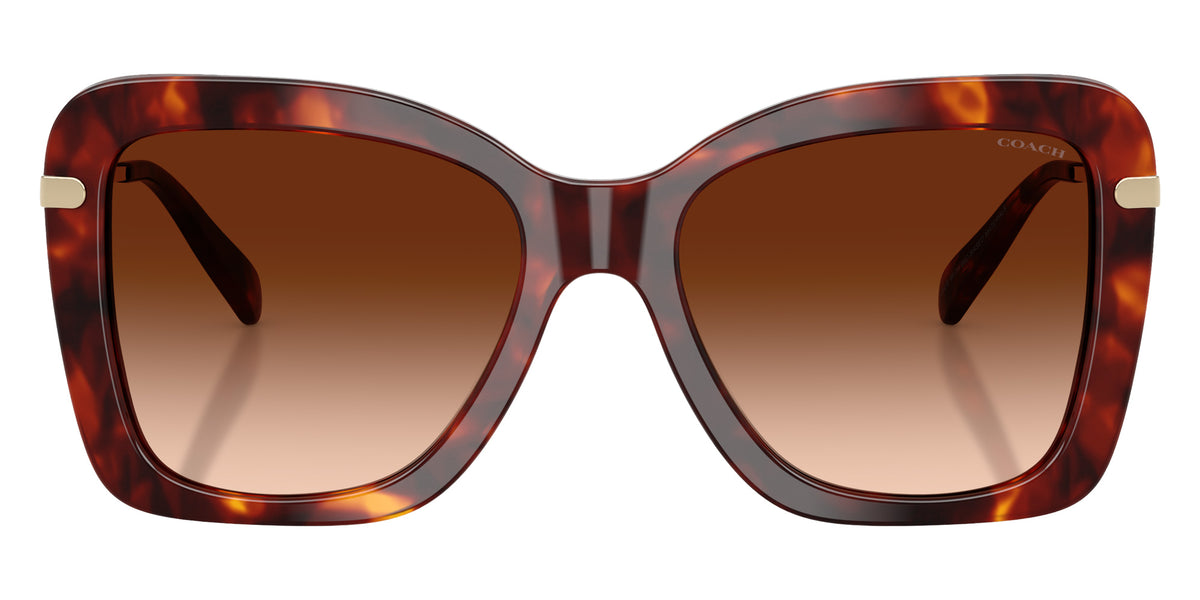 Coach HC8461U CFU03 593874 54 - Walnut Tortoise / Brown Gradient #id:hc8461u593874_s:102100