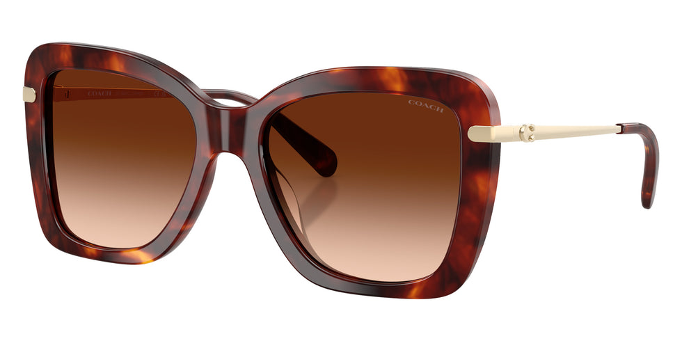 Coach HC8461U CFU03 593874 54 - Walnut Tortoise / Brown Gradient #id:hc8461u593874_s:102105