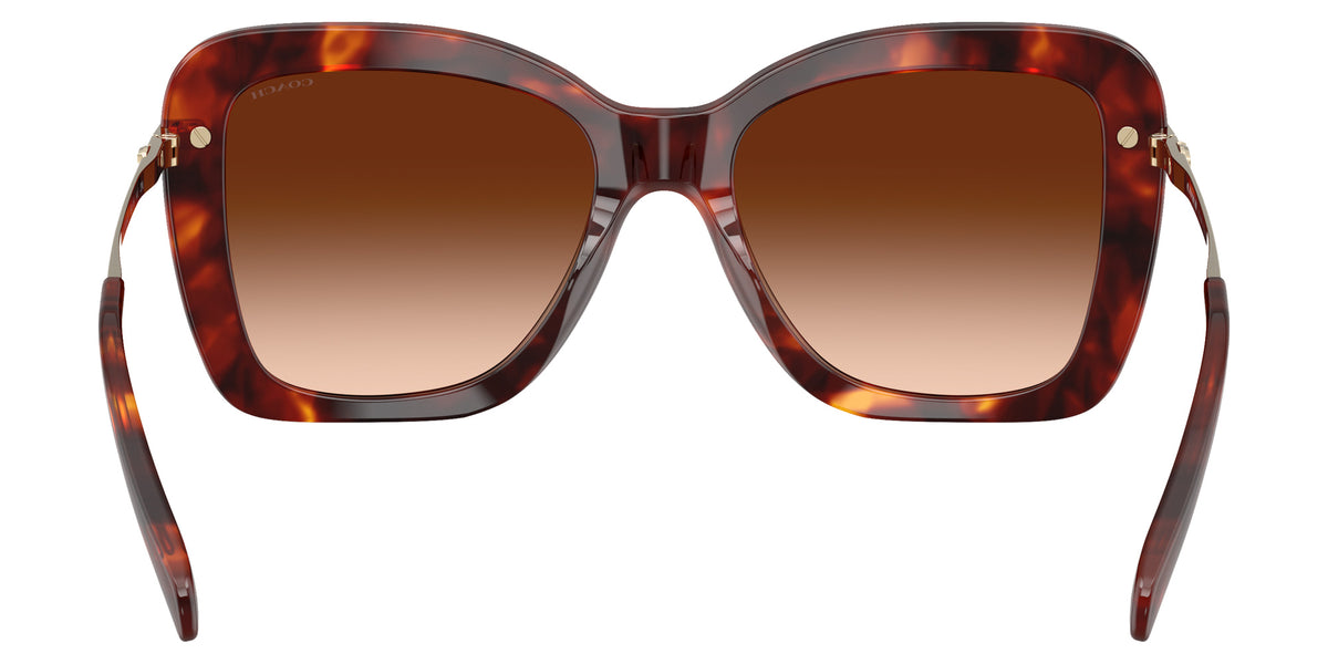 Coach HC8461U CFU03 593874 54 - Walnut Tortoise / Brown Gradient #id:hc8461u593874_s:102115