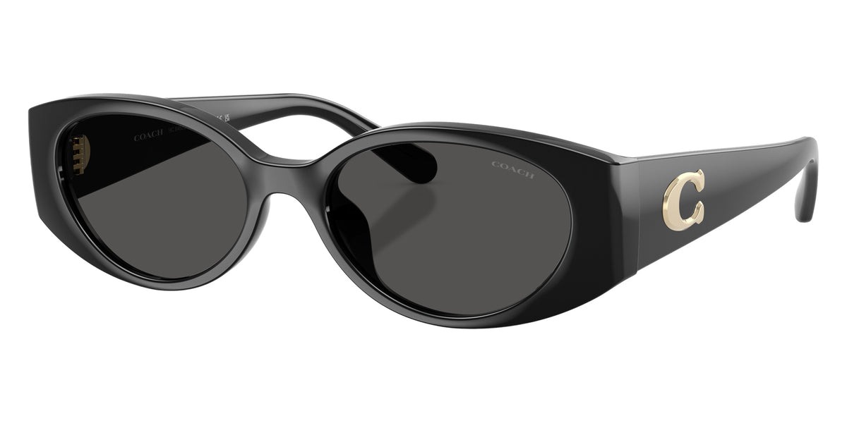 Coach HC8462U CFU06 500287 54 - Black / Gray Solid #id:hc8462u500287_s:100105