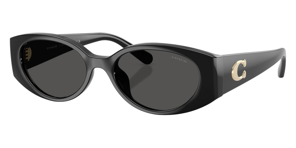 Coach HC8462U CFU06 500287 54 - Black / Gray Solid #id:hc8462u500287_s:100105