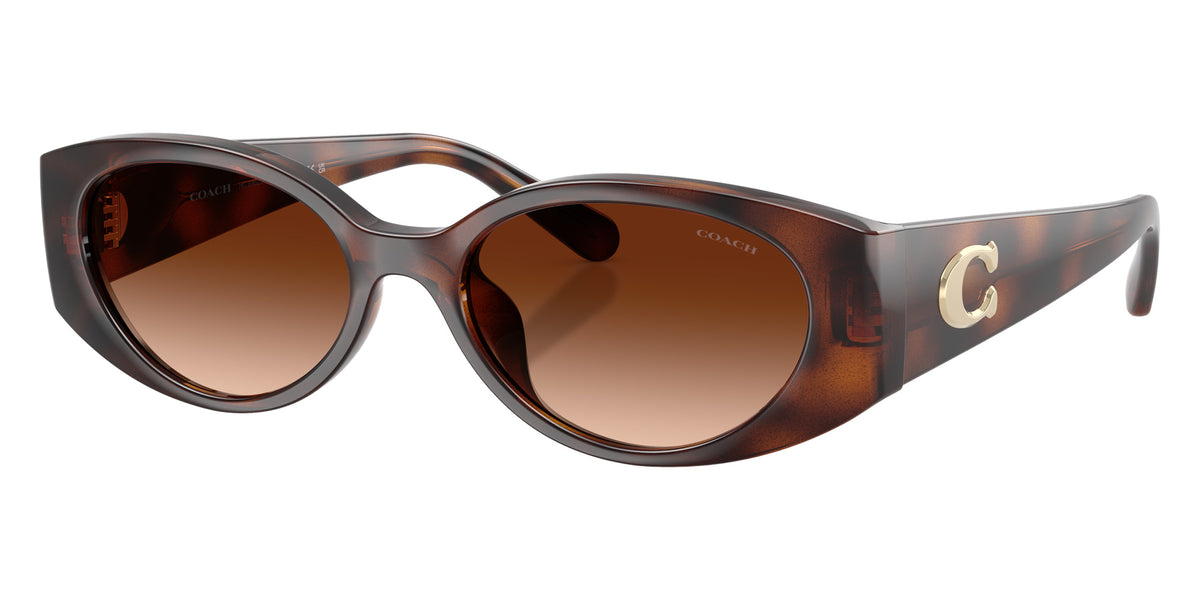 Coach HC8462U CFU06 512074 54 - Dark Tortoise / Brown Gradient #id:hc8462u512074_s:102105
