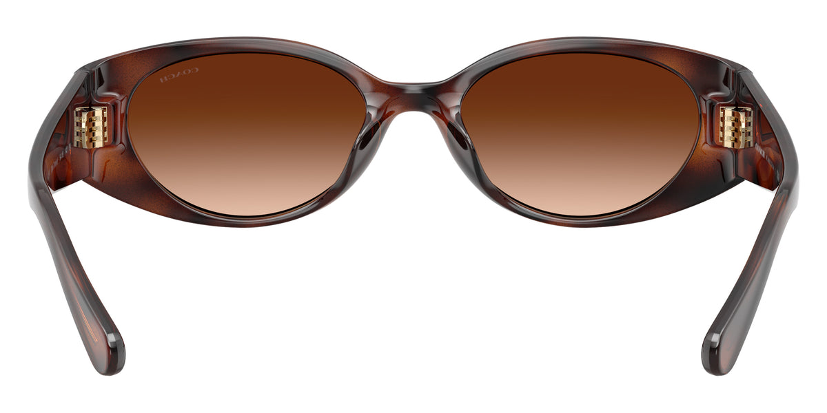 Coach HC8462U CFU06 512074 54 - Dark Tortoise / Brown Gradient #id:hc8462u512074_s:102115