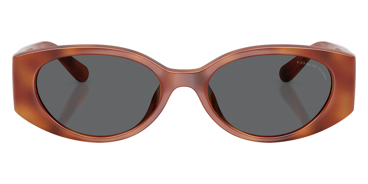 Coach HC8462U CFU06 577481 54 - Caramel Tortoise / Gray Solid Polarized #id:hc8462u577481_s:104100