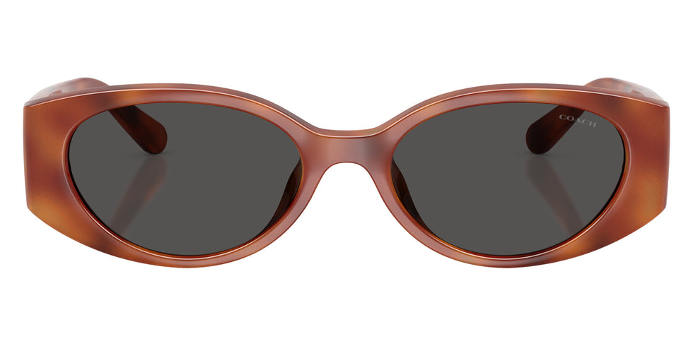 Coach HC8462U CFU06 577487 54 - Caramel Tortoise / Gray Solid #id:hc8462u577487_s:106100