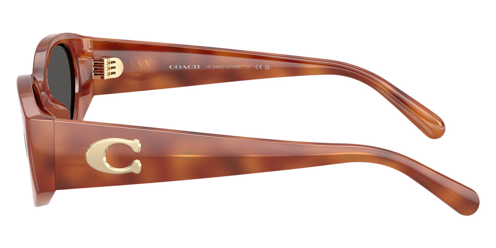 Coach HC8462U CFU06 577487 54 - Caramel Tortoise / Gray Solid #id:hc8462u577487_s:106110