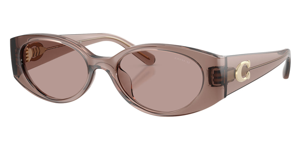 Coach HC8462U CFU06 59627N 54 - Transparent Mauve / Light Purple Solid #id:hc8462u59627n_s:108105