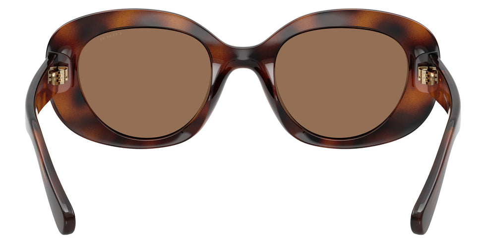 Coach HC8463U CFU08 512073 51 - Dark Tortoise / Brown Solid #id:hc8463u512073_s:102115