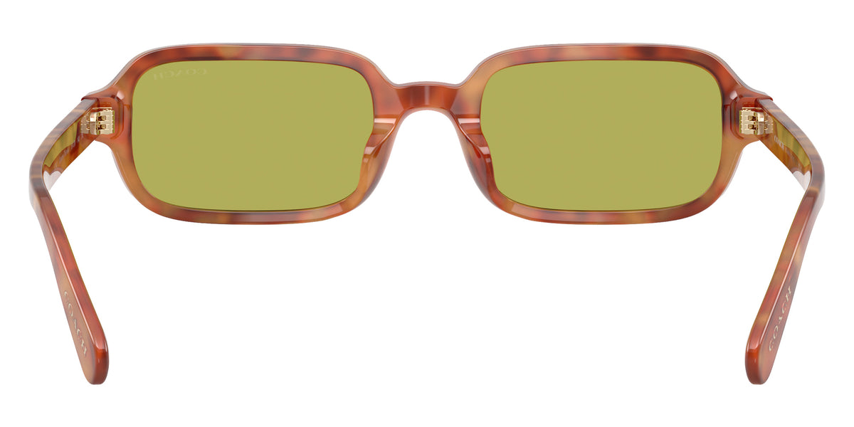 Coach HC8465U CFU11 5774/2 51 - Caramel Tortoise / Pistachio #id:hc8465u57742_s:102115