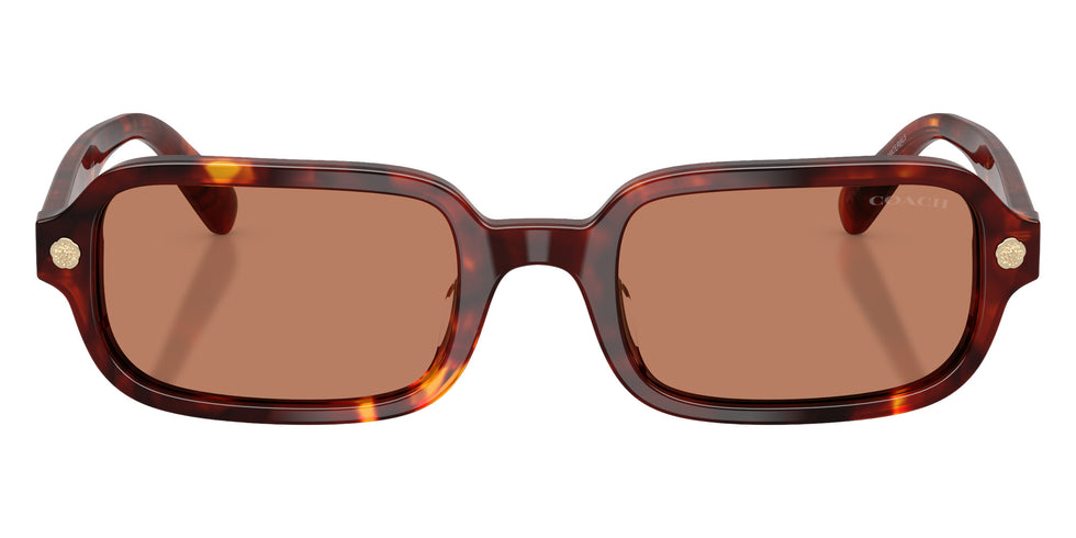 Coach HC8465U CFU11 593873 51 - Walnut Tortoise / Light Brown Solid #id:hc8465u593873_s:104100