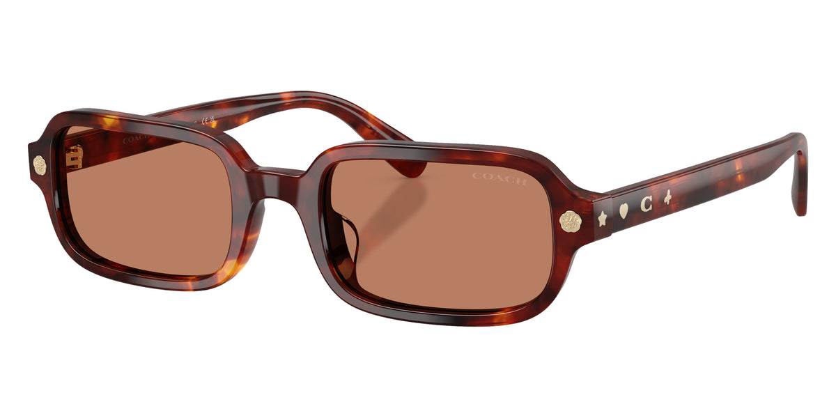 Coach HC8465U CFU11 593873 51 - Walnut Tortoise / Light Brown Solid #id:hc8465u593873_s:104105