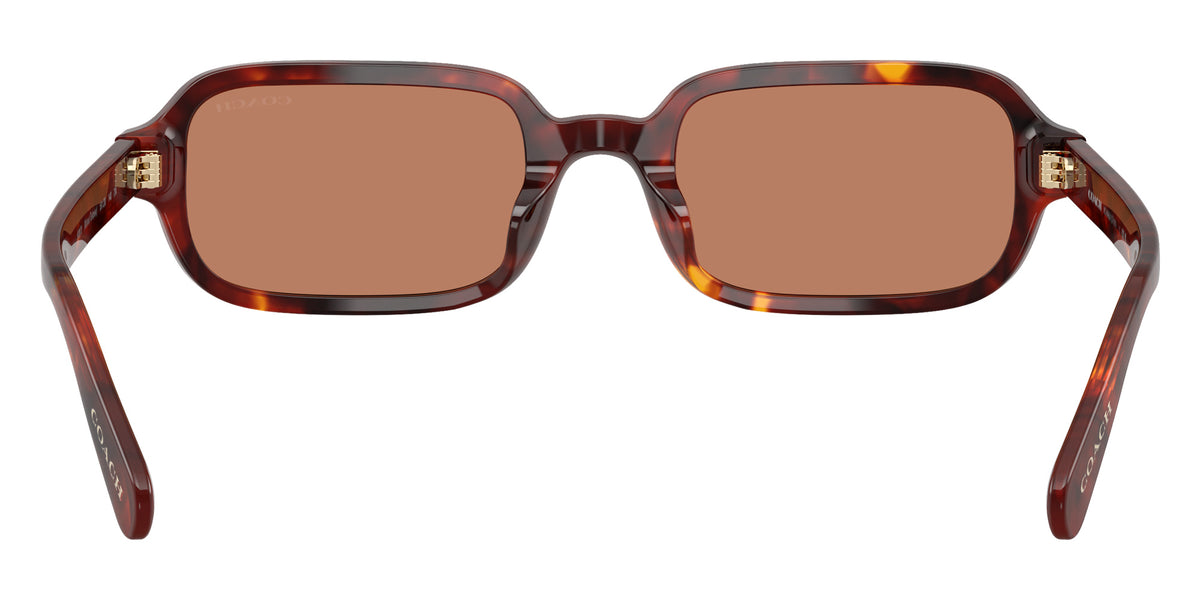 Coach HC8465U CFU11 593873 51 - Walnut Tortoise / Light Brown Solid #id:hc8465u593873_s:104115