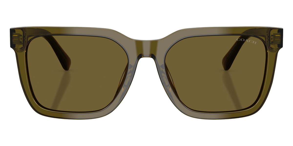 Coach HC8466U CFU12 591073 56 - Transparent Olive / Olive Solid #id:hc8466u591073_s:102100